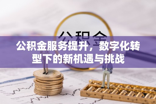 源汇公积金服务提升，数字化转型下的新机遇与挑战