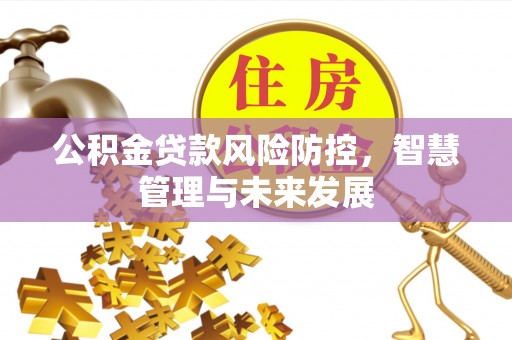源汇公积金贷款风险防控，智慧管理与未来发展