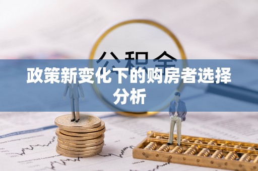 源汇政策新变化下的购房者选择分析