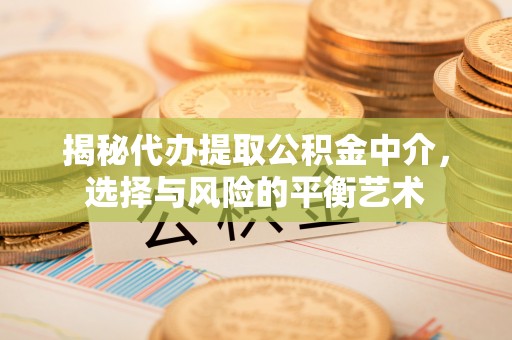 源汇揭秘代办提取公积金中介，选择与风险的平衡艺术