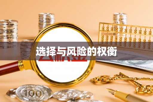 源汇选择与风险的权衡