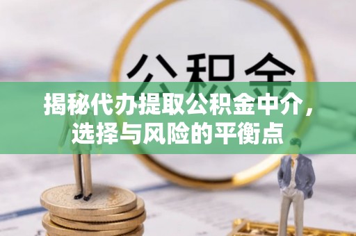 源汇揭秘代办提取公积金中介，选择与风险的平衡点