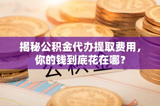 源汇揭秘公积金代办提取费用，你的钱到底花在哪？