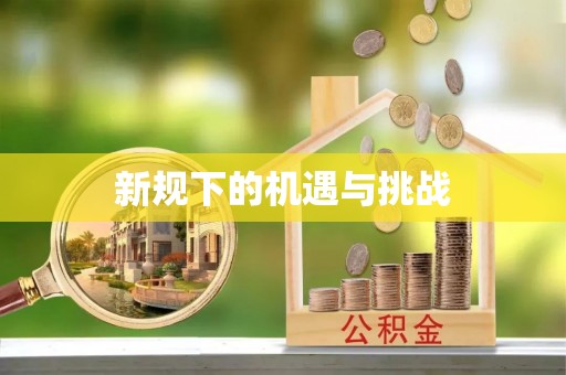 源汇新规下的机遇与挑战