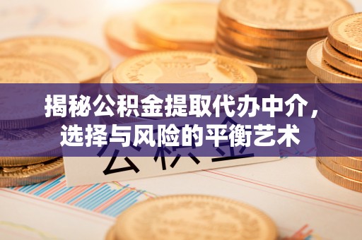 源汇揭秘公积金提取代办中介，选择与风险的平衡艺术