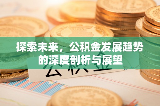 源汇探索未来，公积金发展趋势的深度剖析与展望