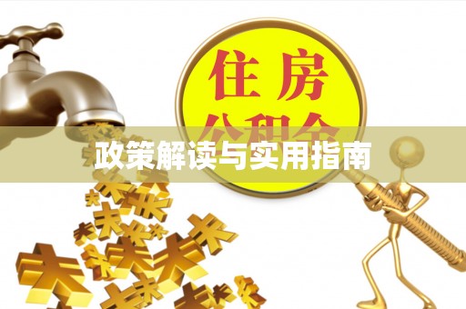 源汇政策解读与实用指南