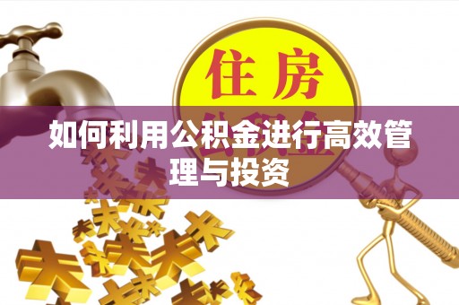 源汇如何利用公积金进行高效管理与投资
