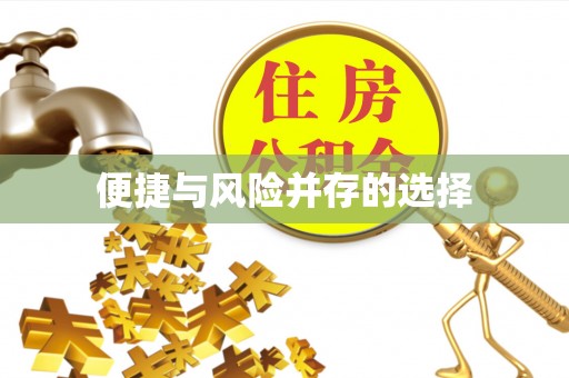 源汇便捷与风险并存的选择