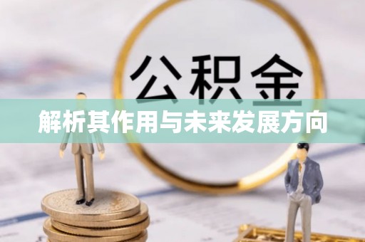 源汇解析其作用与未来发展方向