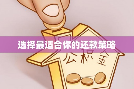源汇选择最适合你的还款策略