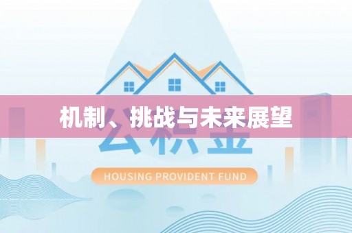 源汇机制、挑战与未来展望